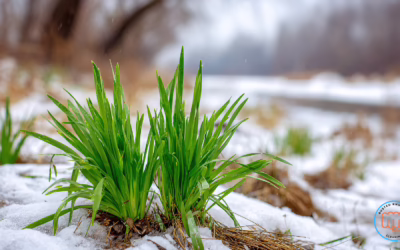 When Winter Suddenly Feels Like Spring, Your Home Notices