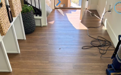 Your House Is Still Wearing Summer: 7 Places August Leaves Behind a Mess